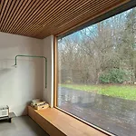 Lines Near Forest And Water *